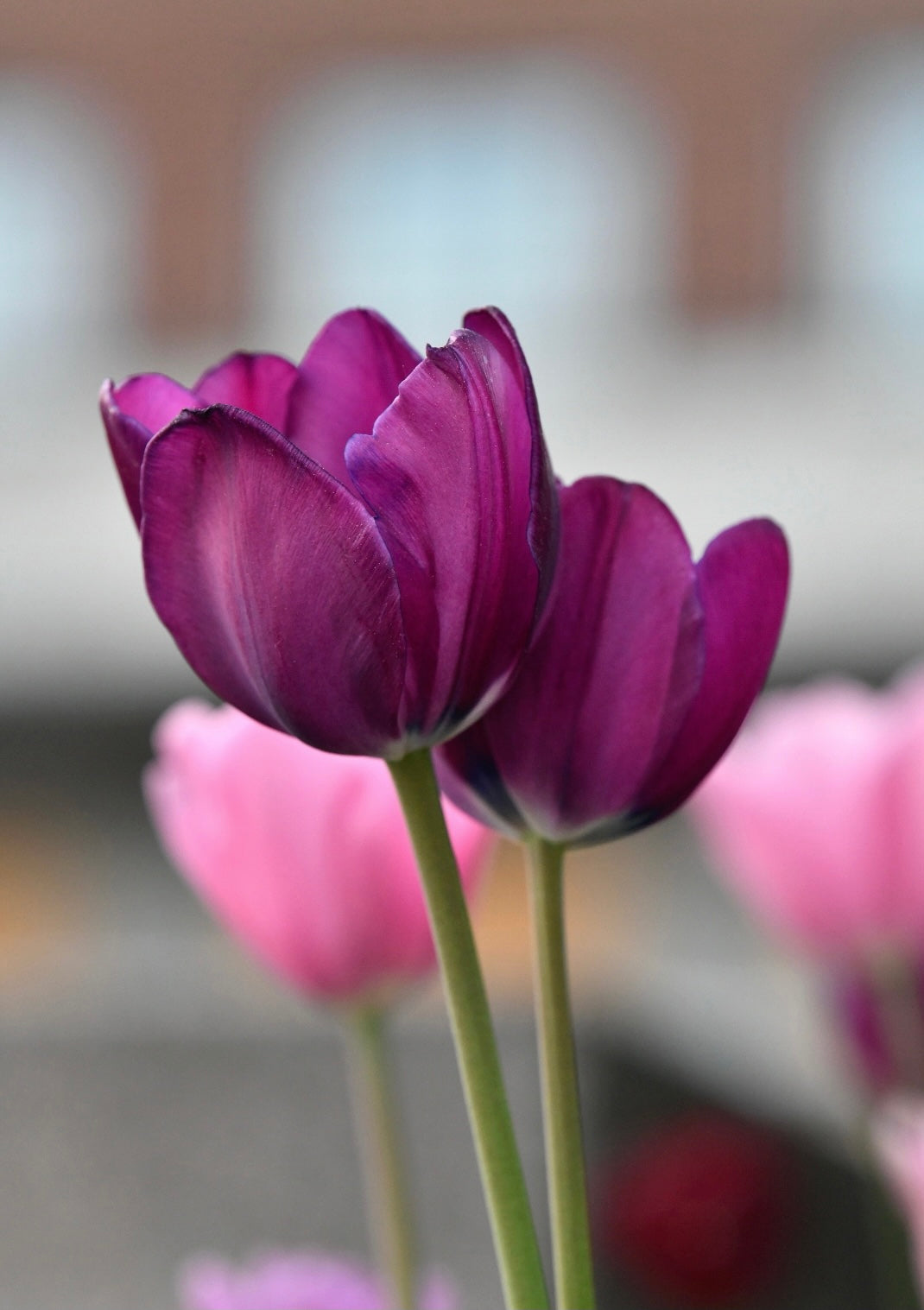 I will go with the flow!