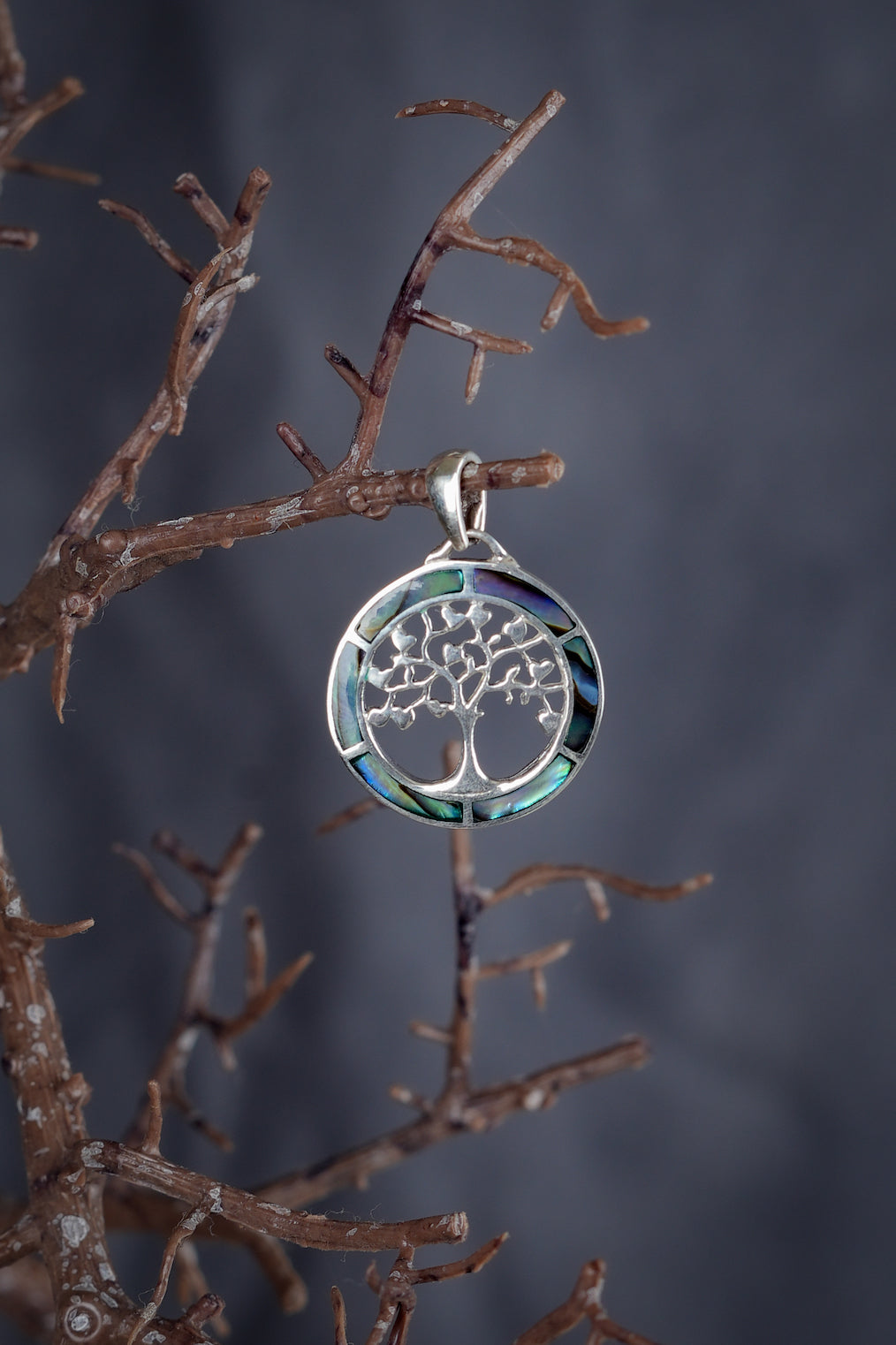 Tree of Life Abalone Pendant
