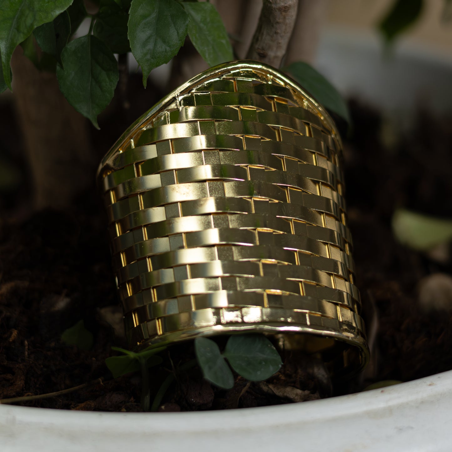 Golden Weave Cuff Bracelet