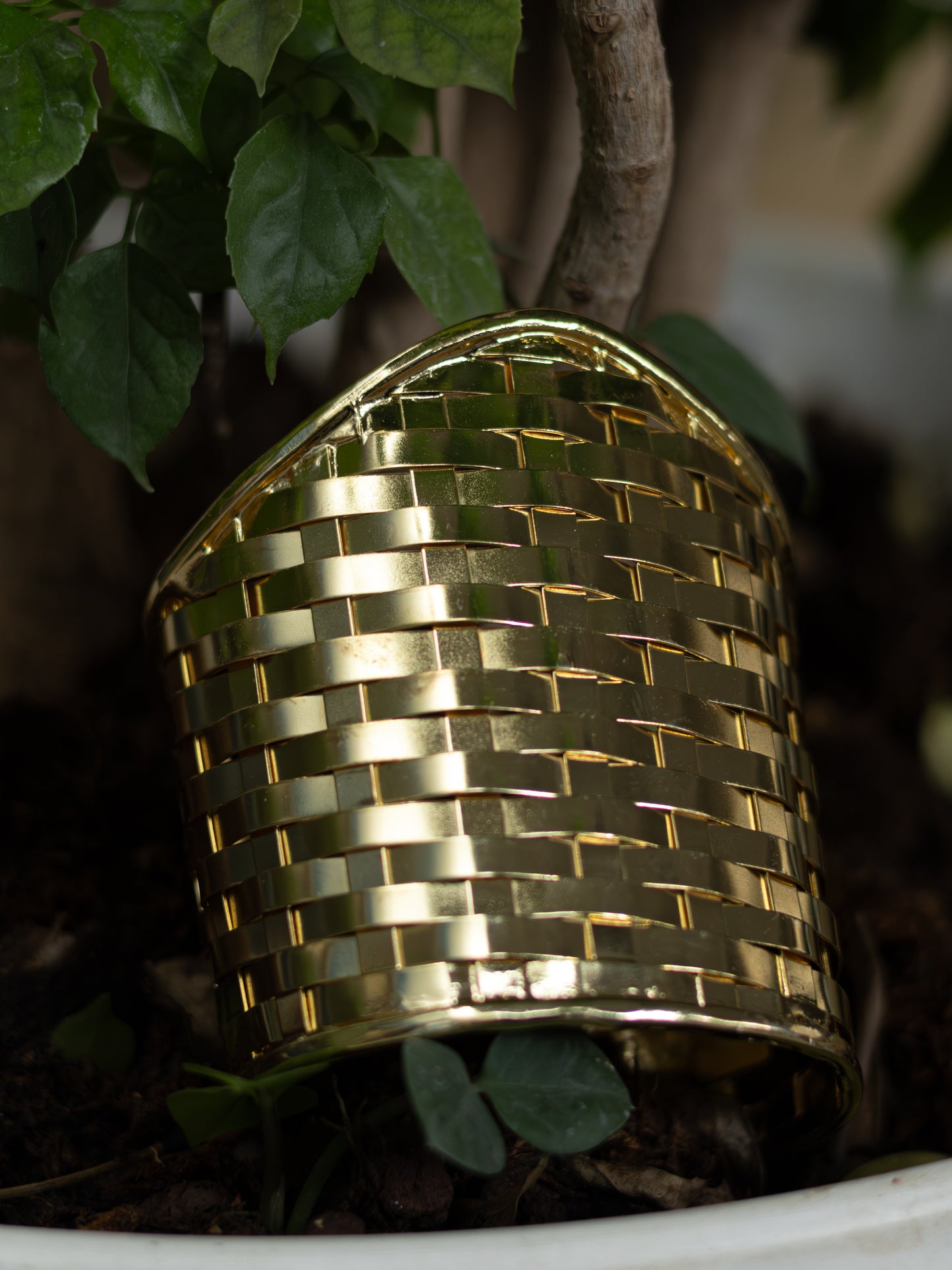 Golden Weave Cuff Bracelet
