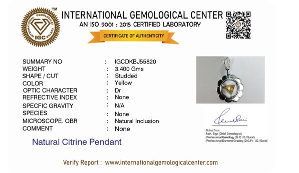 Healing Manipura (Sacral) Chakra Pendant With Citrine