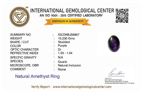 Eternal Amethyst Oval Silver Ring