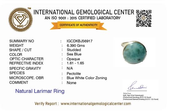 Round Larimar Silver Ring