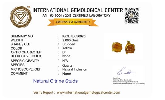 Natural Uncut Citrine Studs