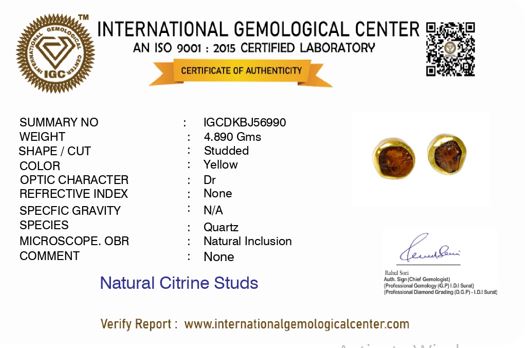 Uncut Round Citrine Studs