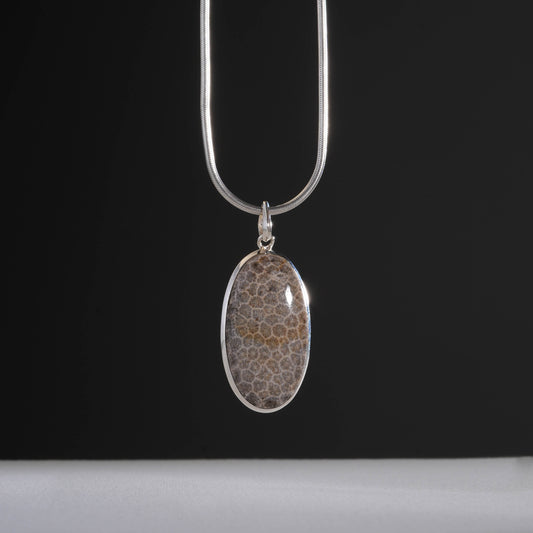 Ammonite Oval Silver Pendant