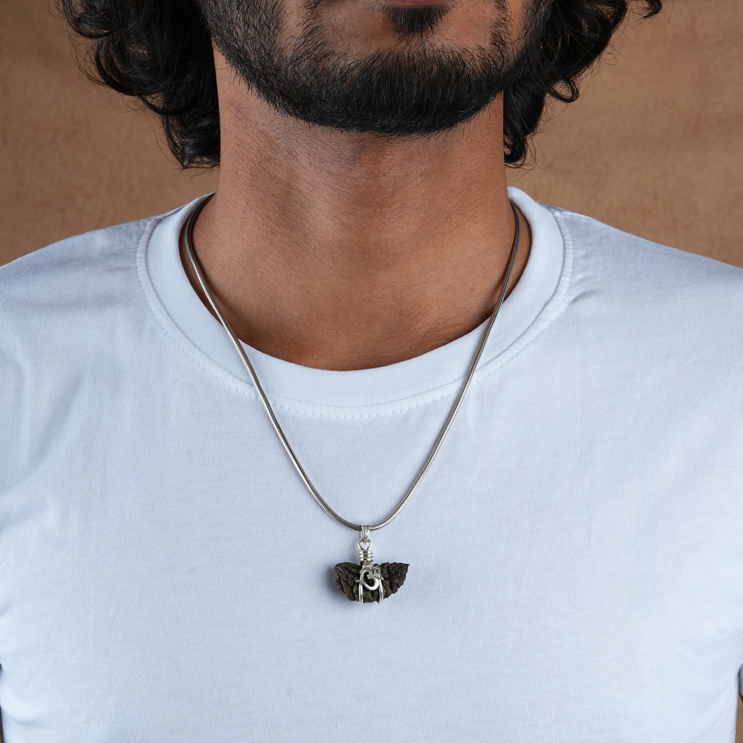 Lord Shiva Collection