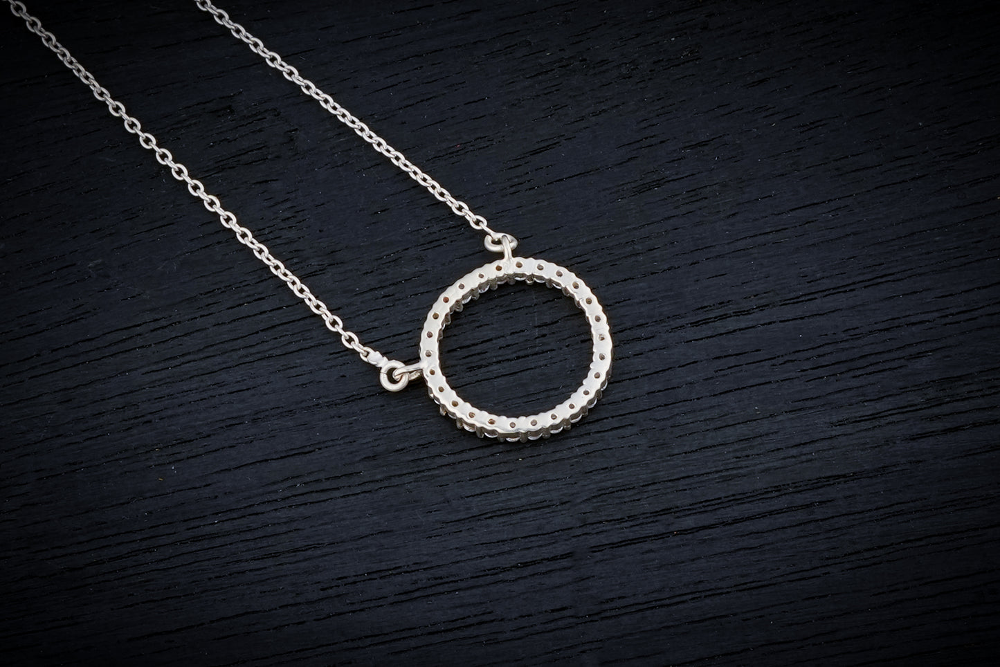 Circle Of Life Silver Necklace