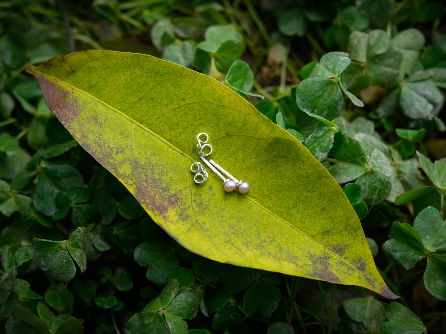 Freshwater Peach Pearl Studs(4 mm)