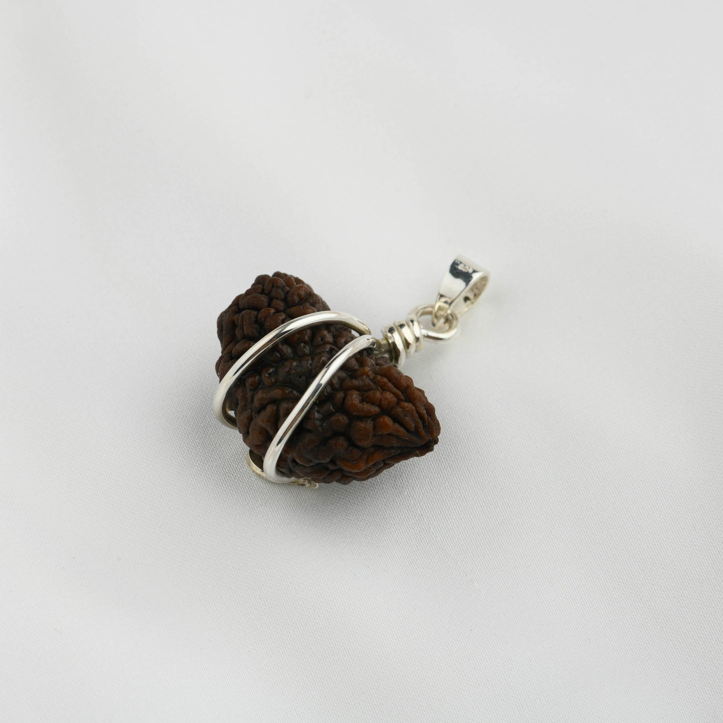 Ek Mukhi Natural Himalayan Rudraksha Om Silver Pendant