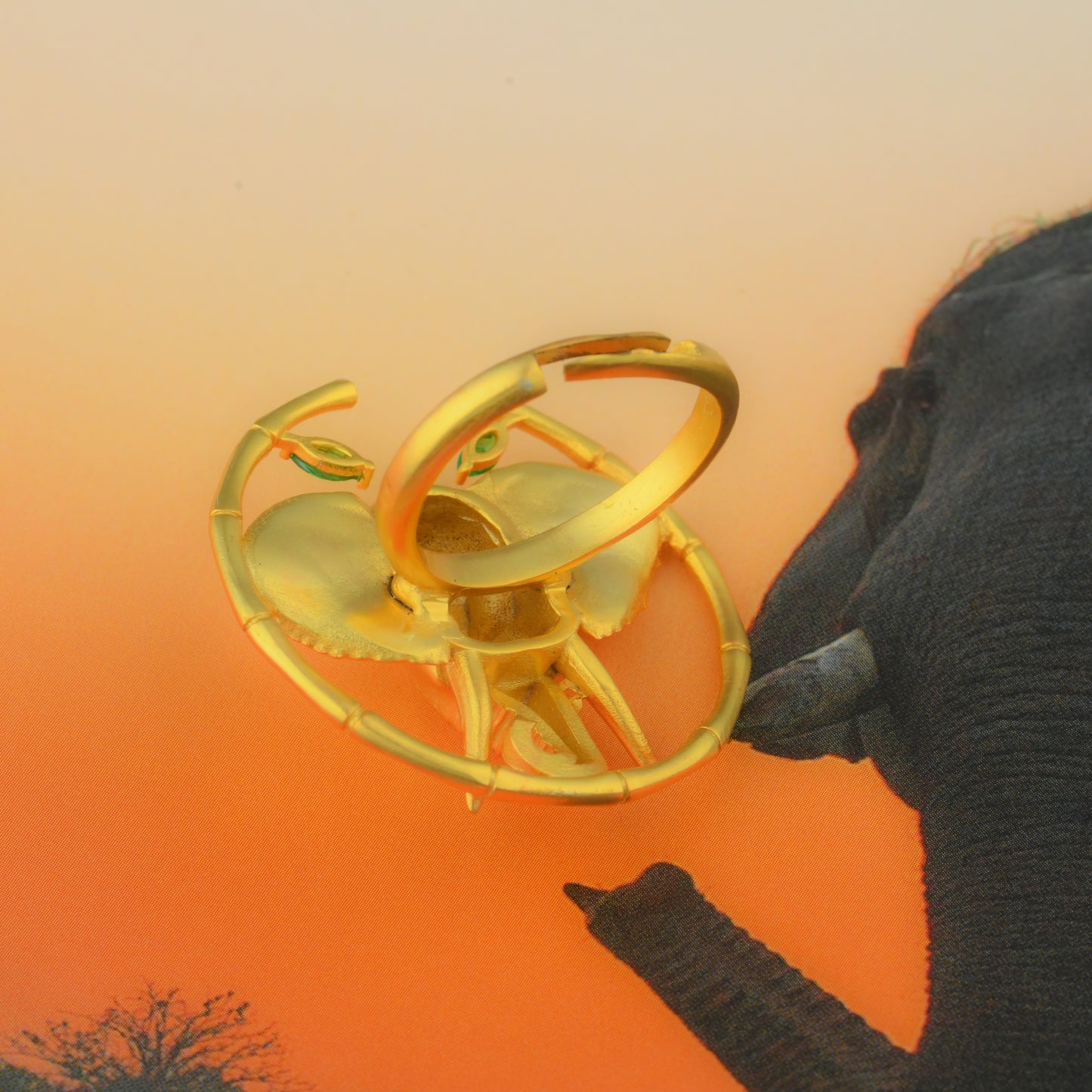 Corbett Dhikala Tusker Ring