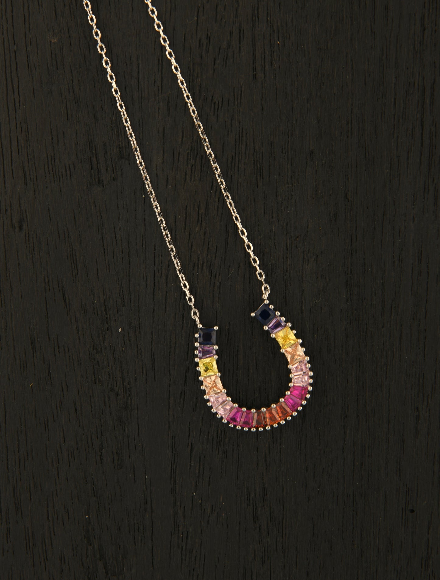 Zircon Horse Shoe Silver Necklace