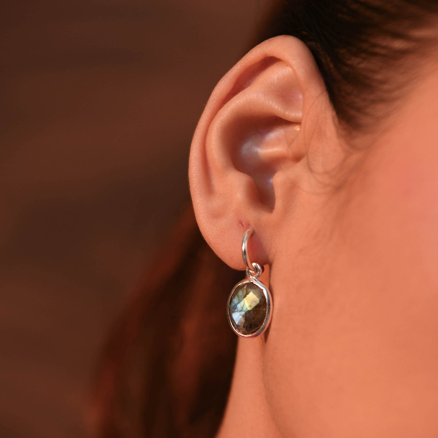 Labradorite C Bend Earrings