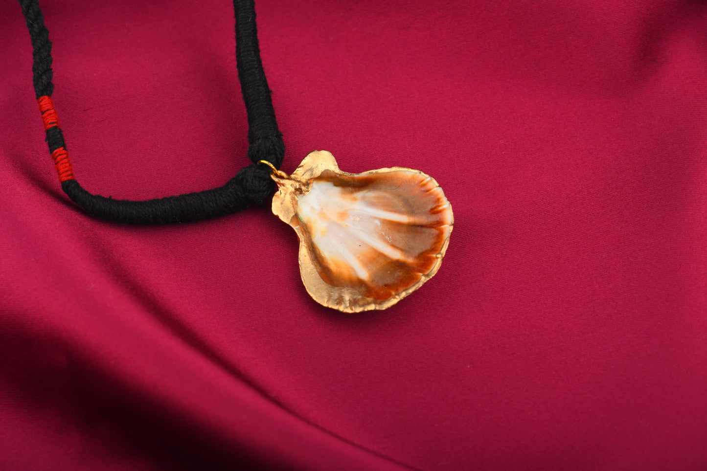 Natural Sea Shell Necklace(1)