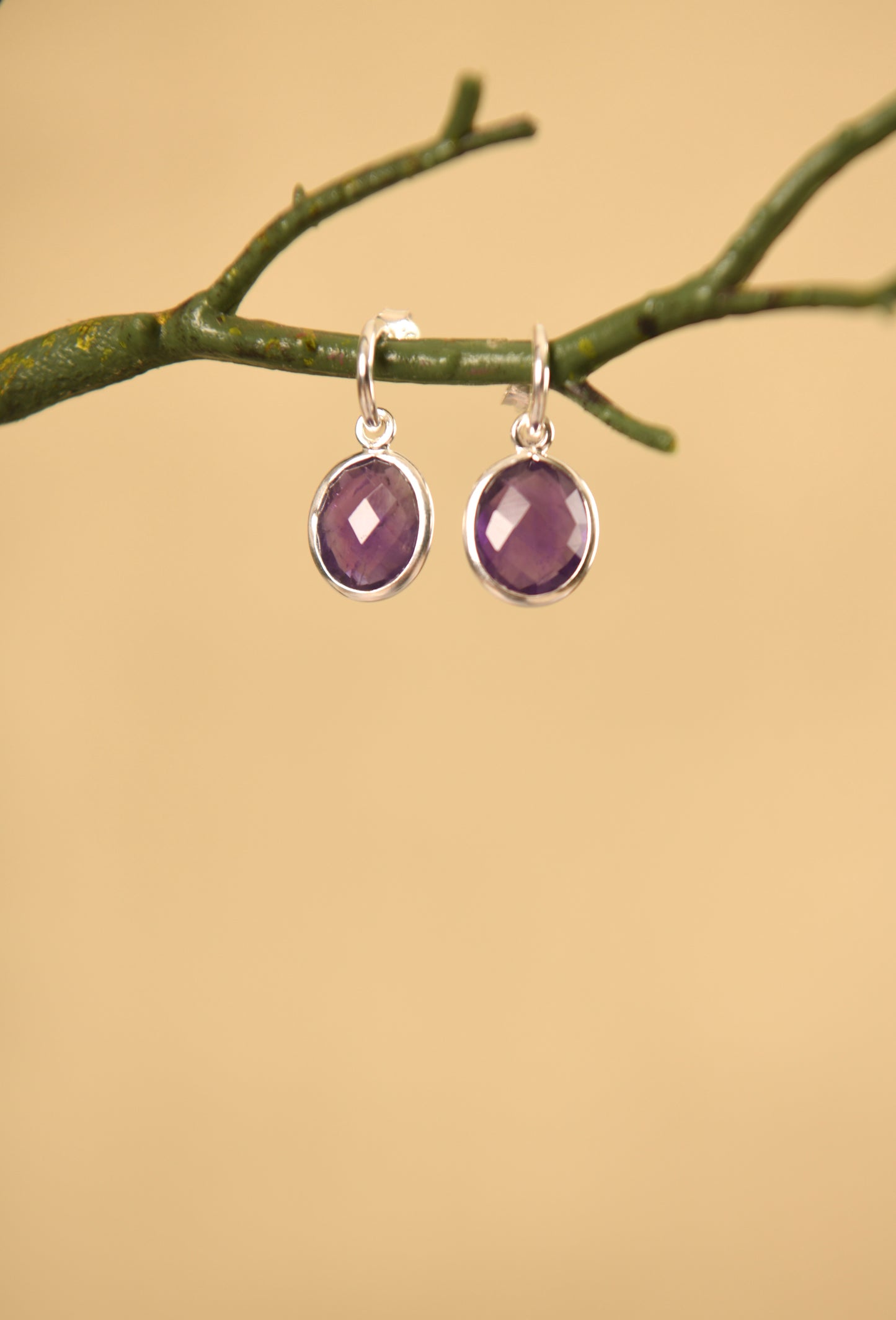 Amethyst C Bend Earrings