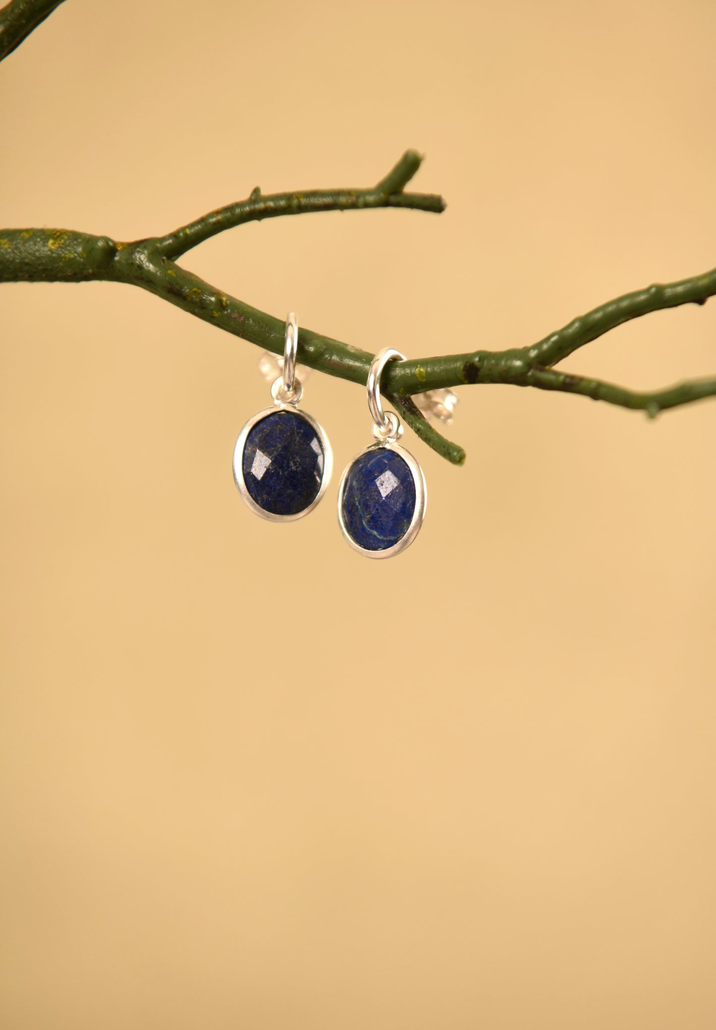 Lapis Lazuli C Bend Earrings