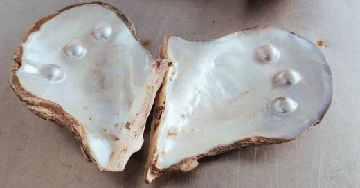 Pearl Embedded Shell