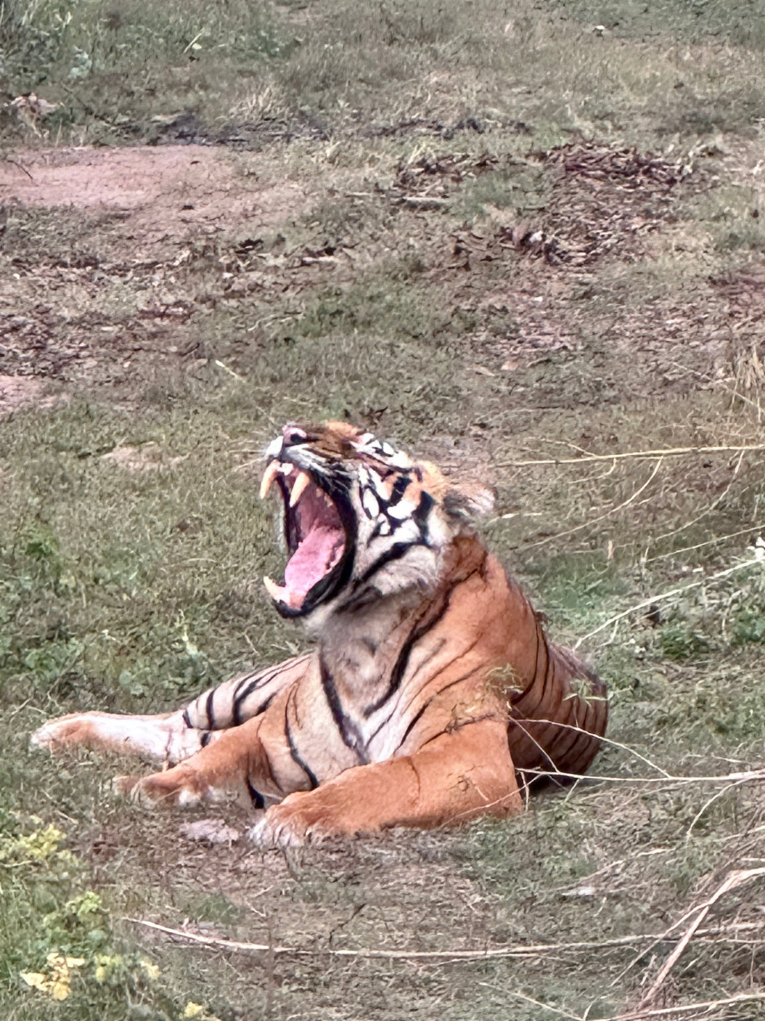 Totapari Presents:The Corbett Collection- A Memoir of the Wilderness