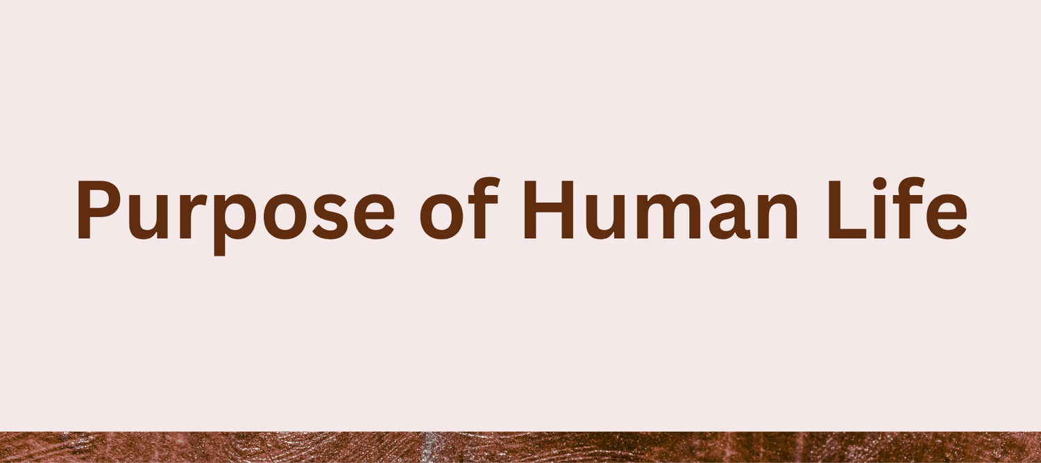 what is the Purpose of Human Life