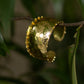Hammered Gold Plated Brass Bracelet