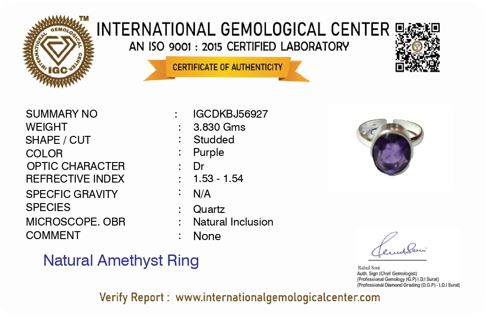 Amethyst Adjustable Silver Ring