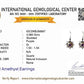Sun Chakra Earrings