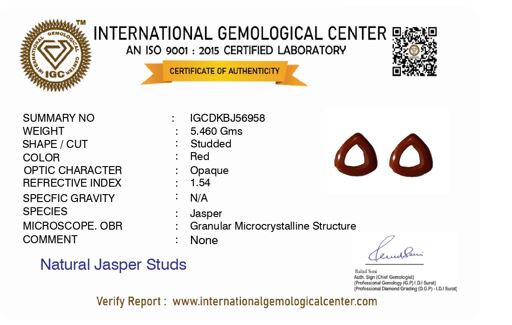 Red Jasper Triangle Studs
