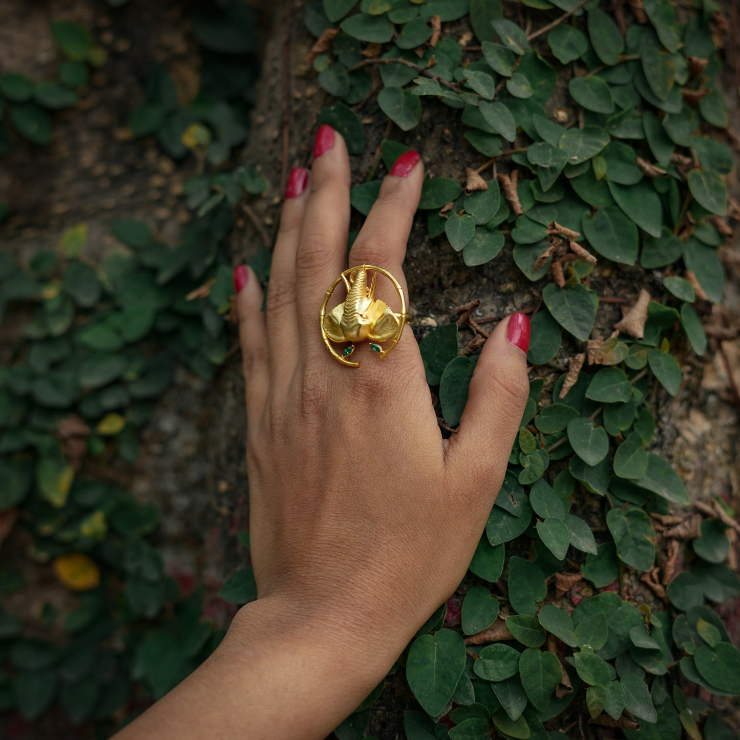 Corbett Dhikala Tusker Ring