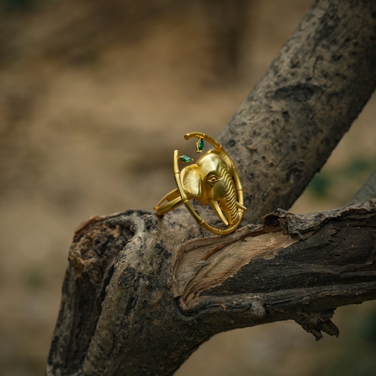 Corbett Dhikala Tusker Ring