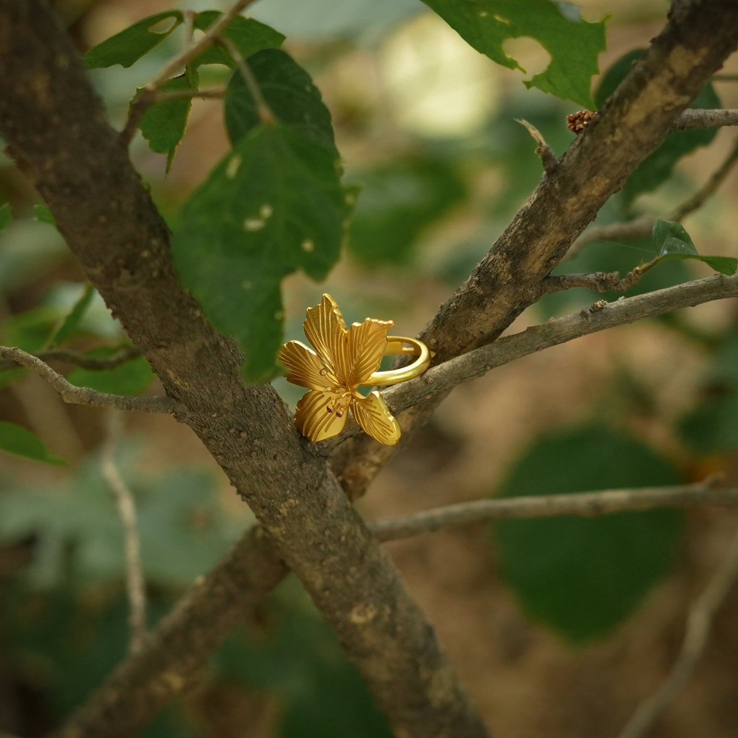 Corbett Kachnaar Ring