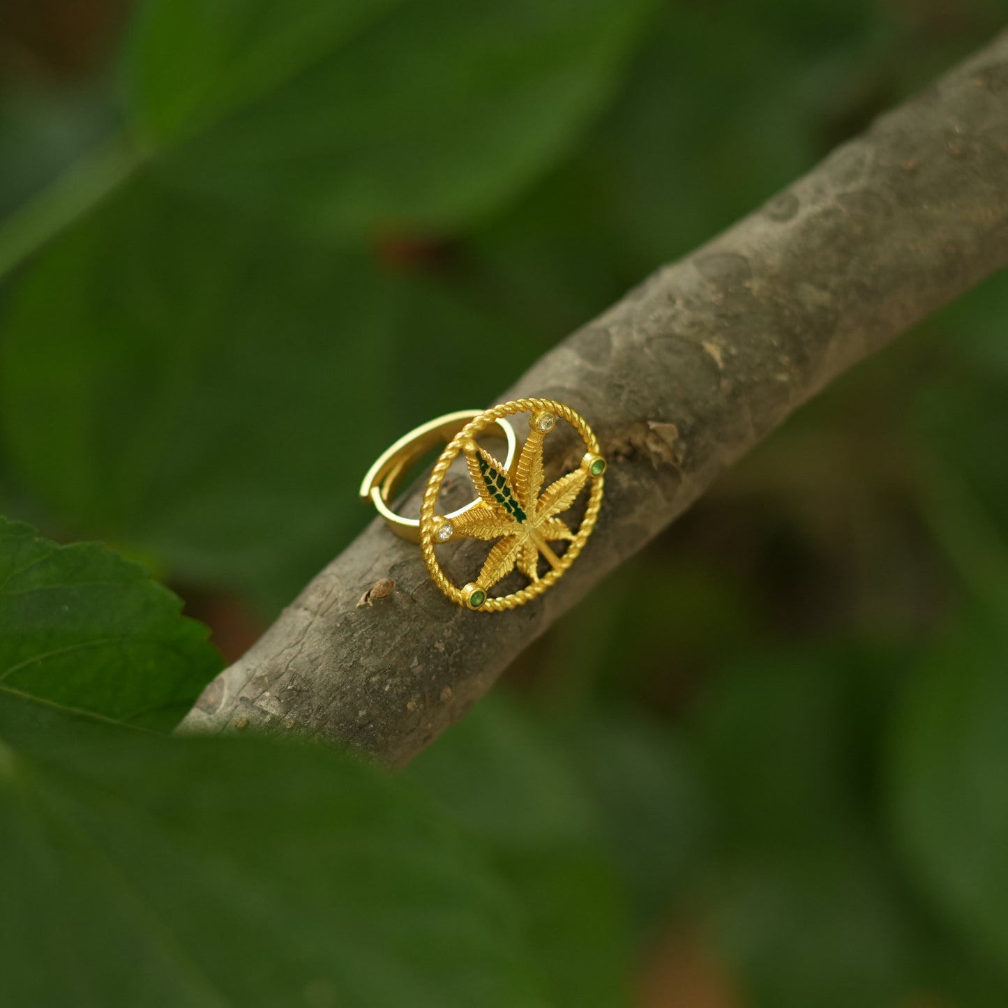 Corbett Canabis Ring