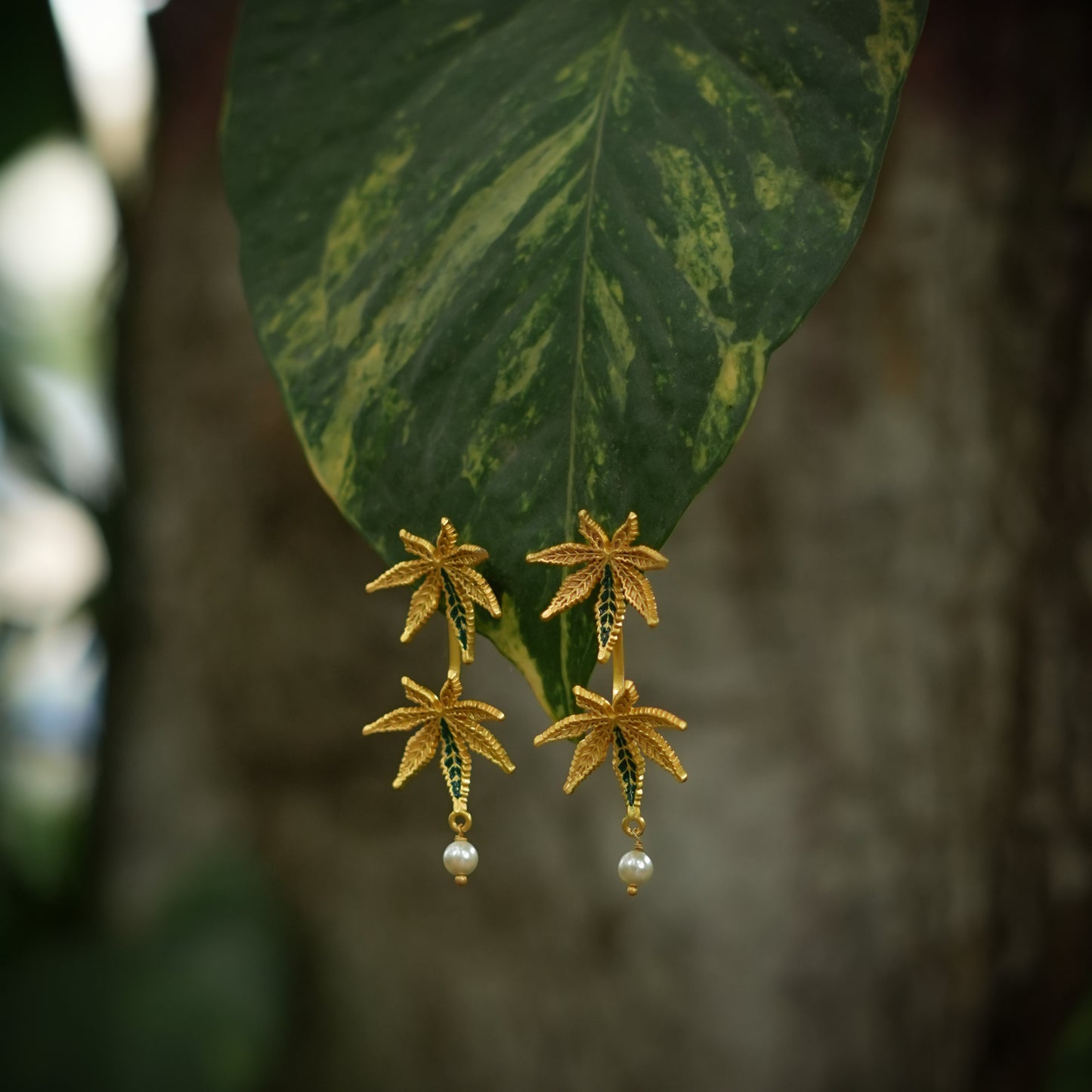 Corbett Canabis EarJackets Cum  Earrings