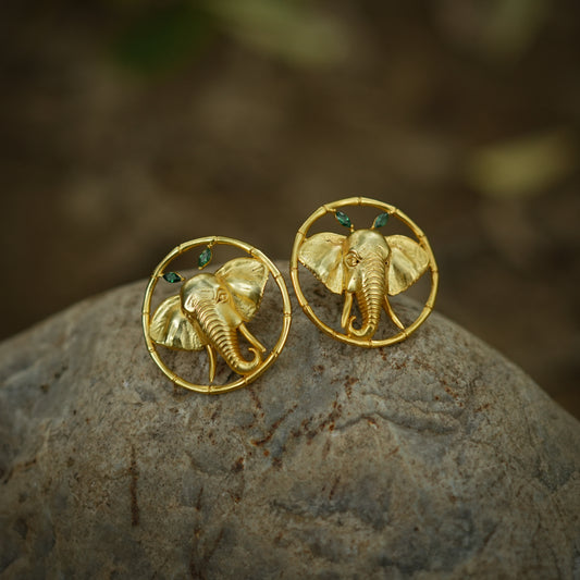 Corbett Dhikala Studs