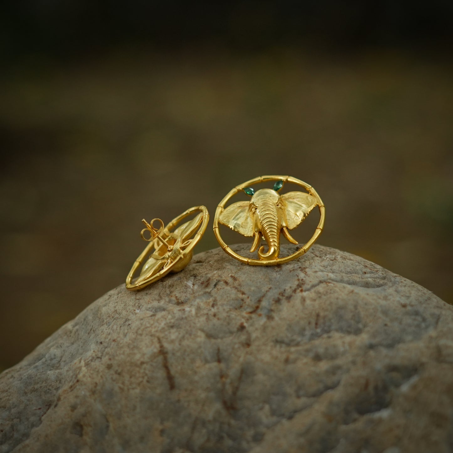 Corbett Dhikala Studs