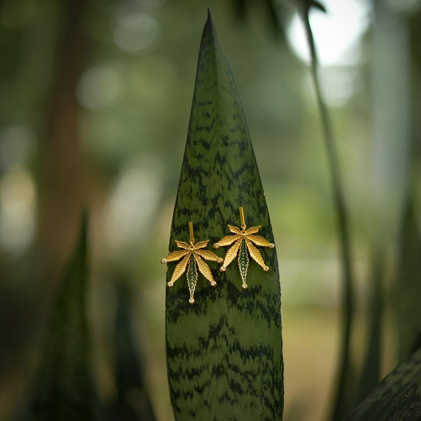 Corbett Canabis Studs