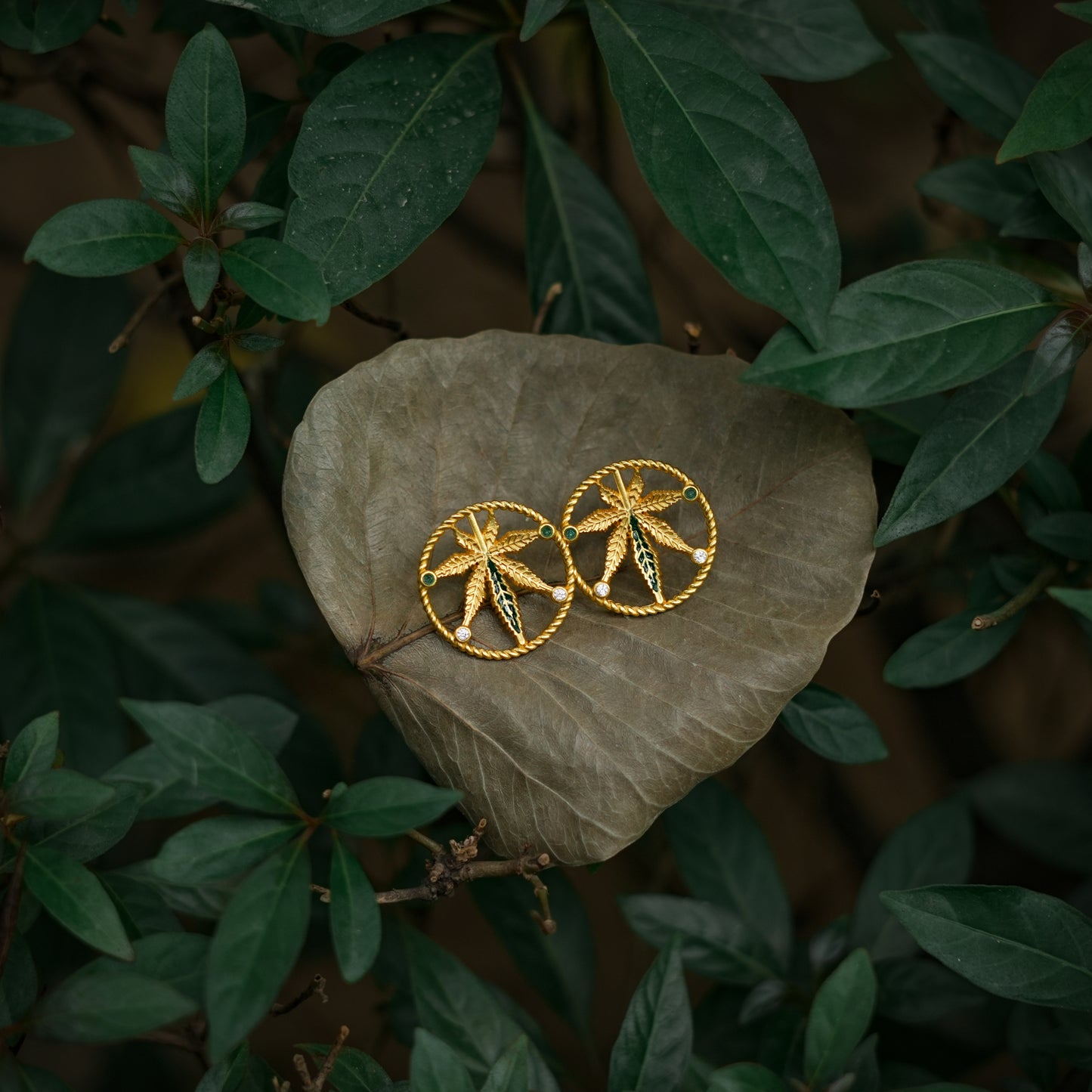 Corbett Canabis Studs