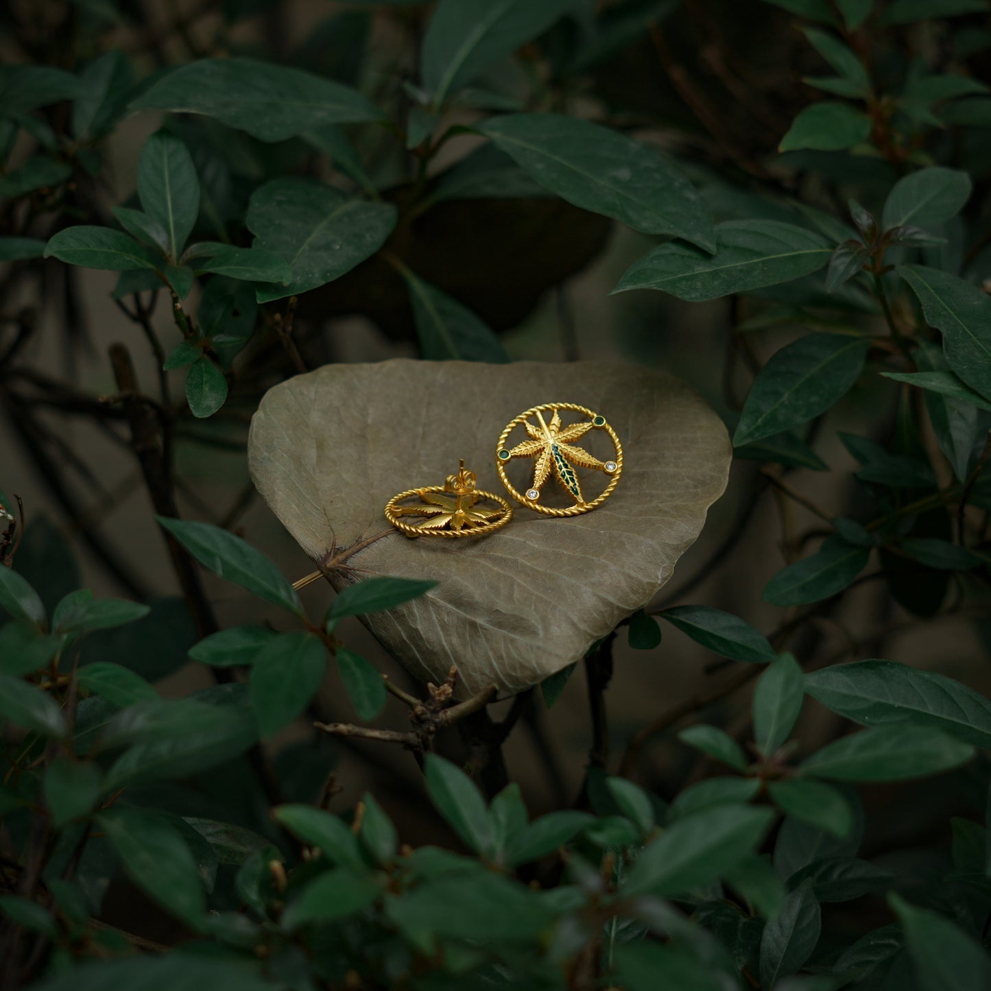 Corbett Canabis Studs