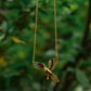 Corbett Plum Head Parrot Necklace