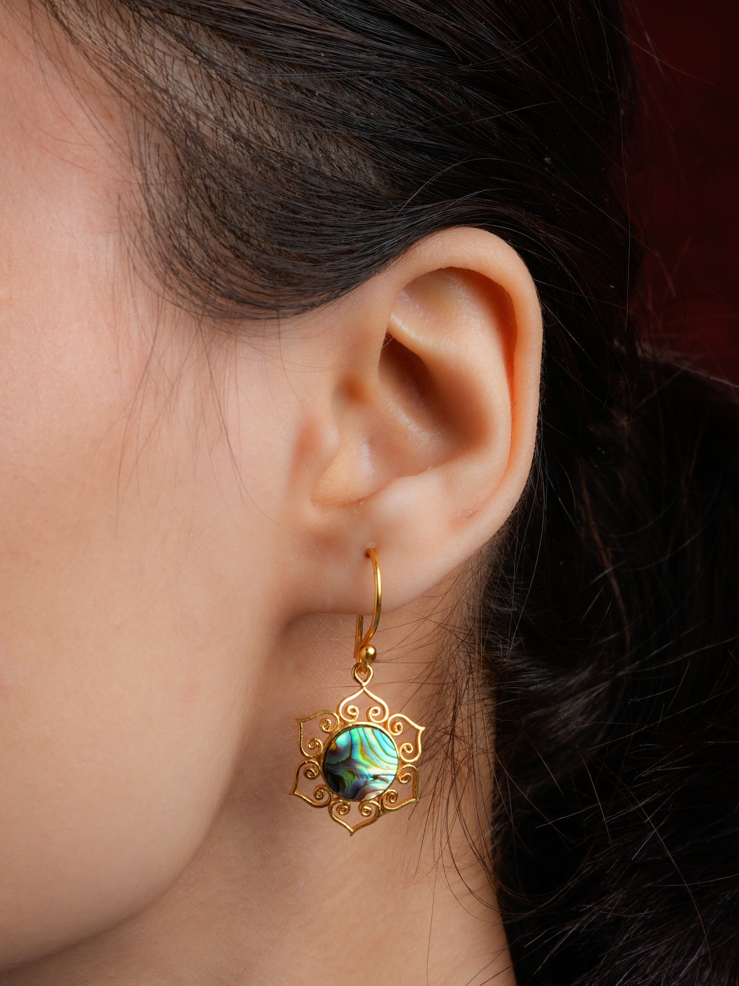 Exotic Sands  Abalone Earrings