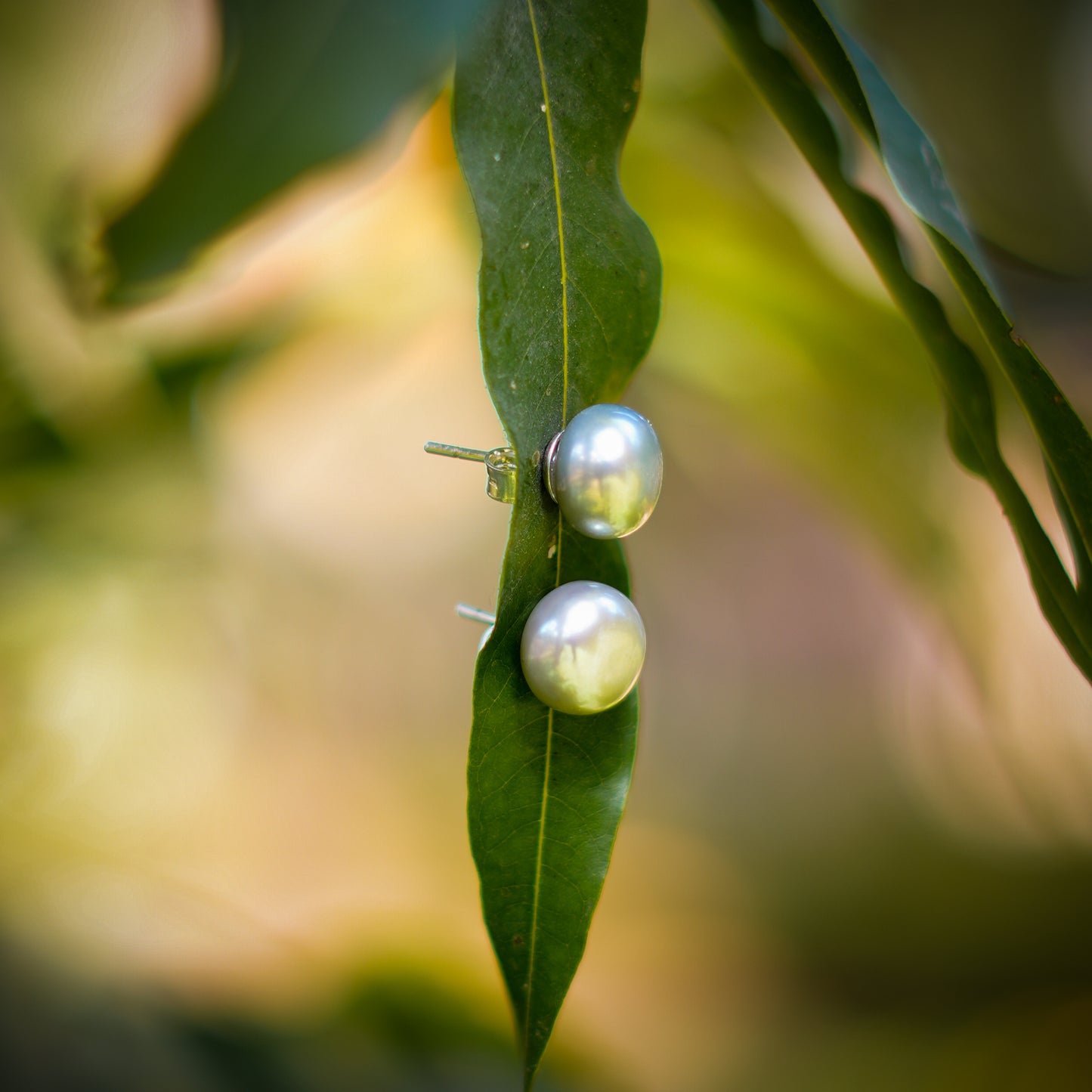 Ash Grey Pearl Studs (11 mm)