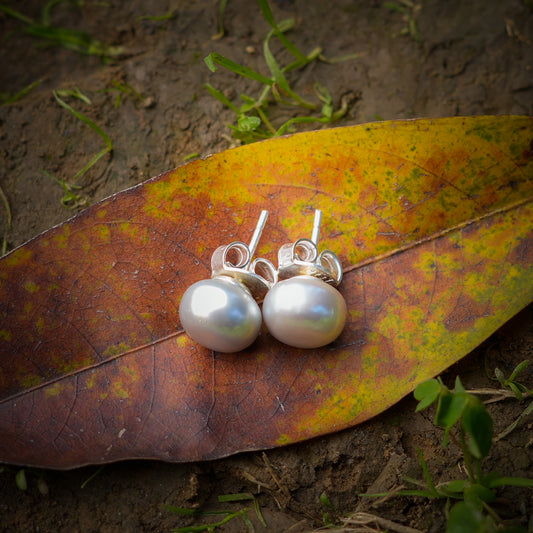 Ash Grey Pearl Studs (11 mm)