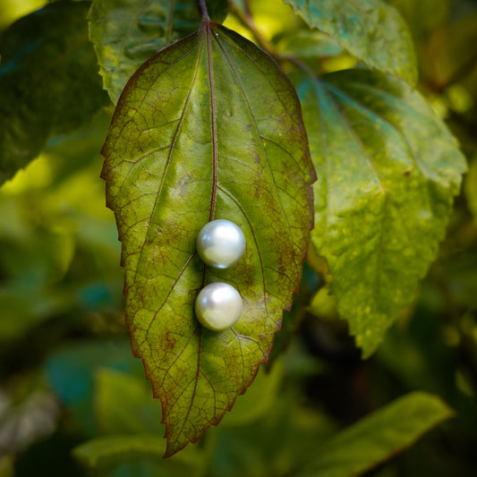 Ash Grey Pearl Studs (11 mm)