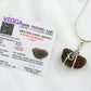 Ek Mukhi Natural Himalayan Rudraksha Om Silver Pendant