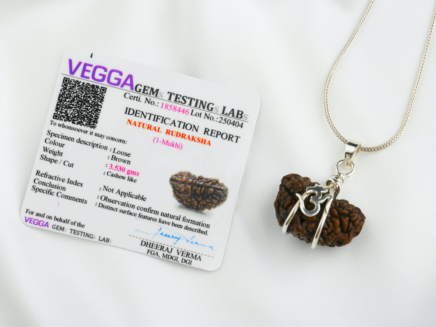 Ek Mukhi Natural Himalayan Rudraksha Om Silver Pendant
