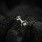 Suchitra Silver CZ Nose Pin