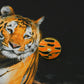 Corbett Romeo Tiger Stripes Brooch