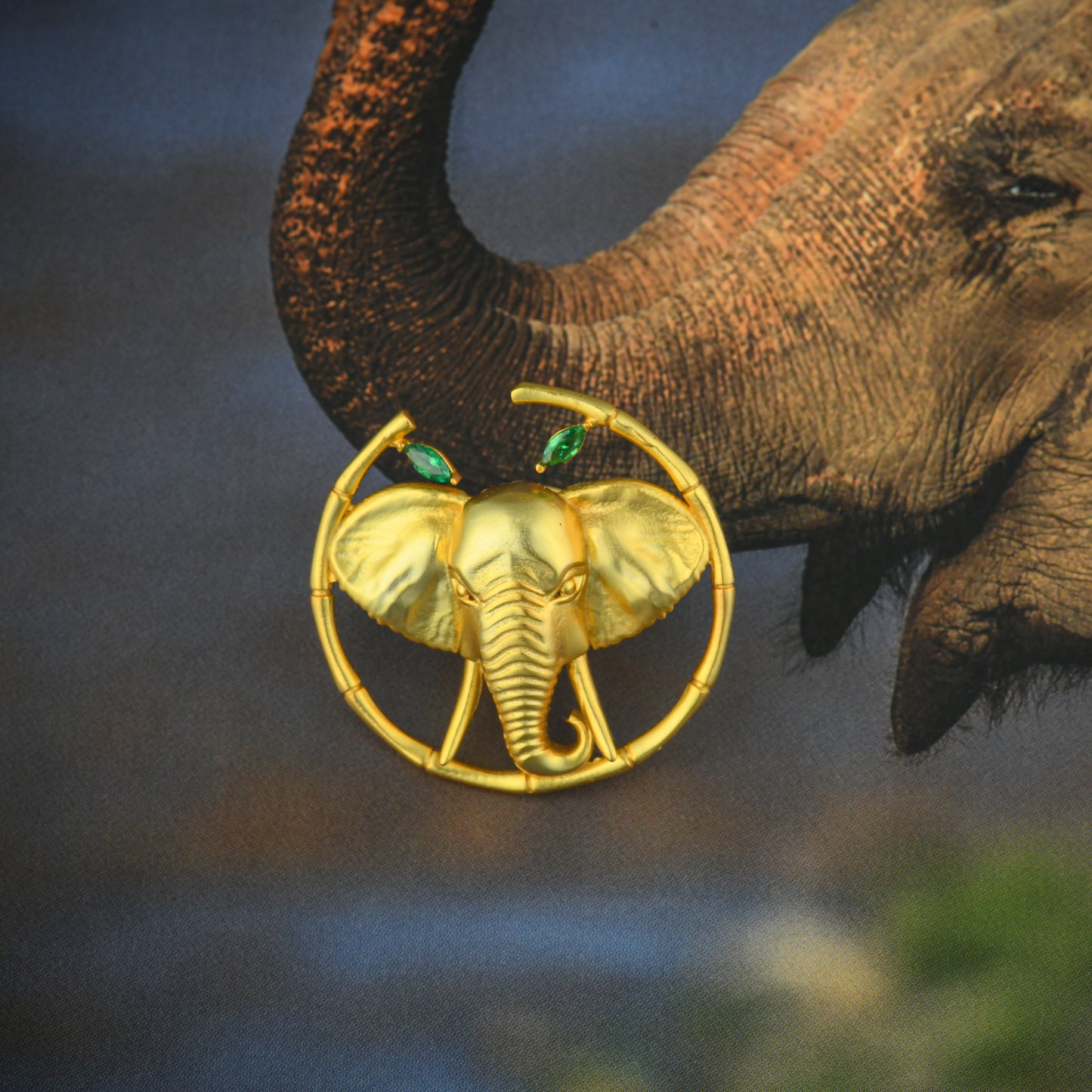 Corbett Dhikala Tusker Brroch