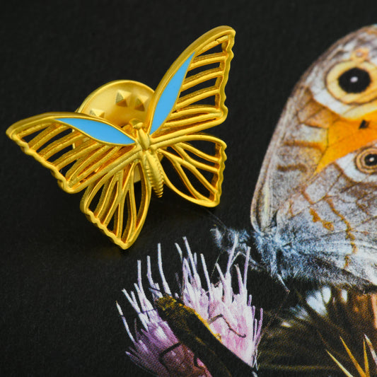 The Butterfly Brooch Cum Tie Pin