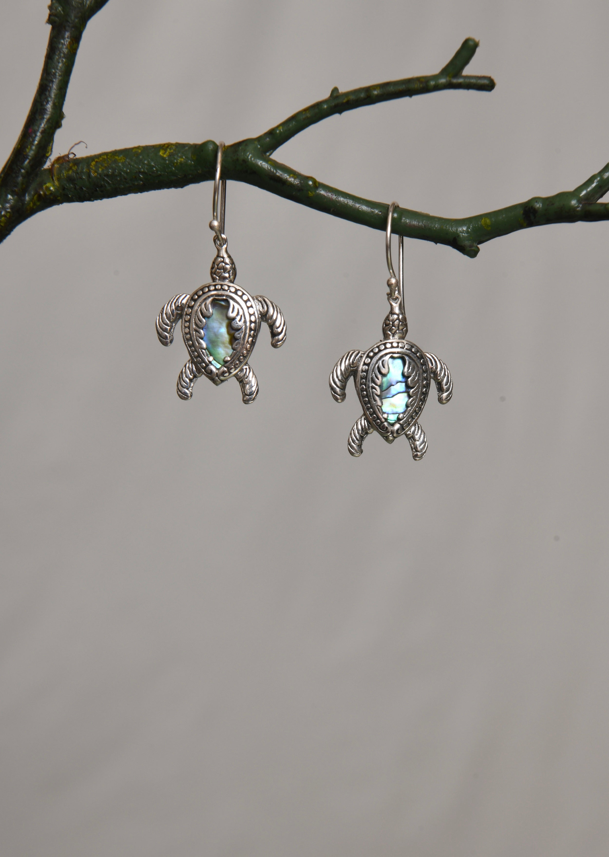 Turtle Shell Earings Silver Oceanic Flying Turtles Earrings – Totapari