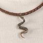 Cobra Silver Pendant In Leather Chord